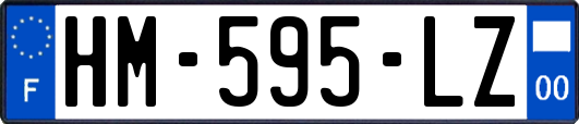 HM-595-LZ