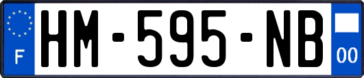 HM-595-NB