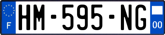 HM-595-NG