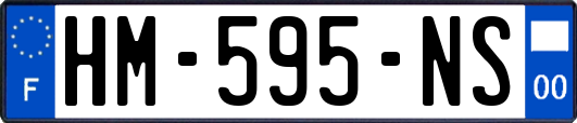 HM-595-NS