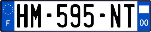 HM-595-NT