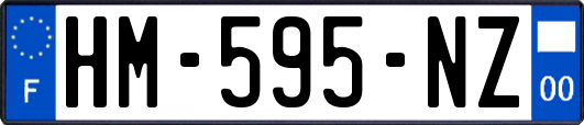 HM-595-NZ