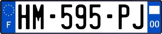 HM-595-PJ