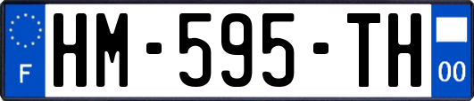 HM-595-TH