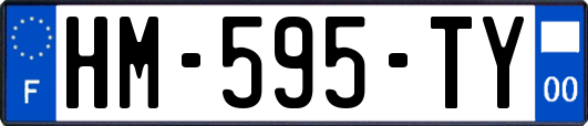 HM-595-TY