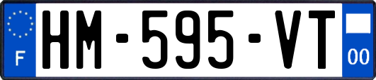 HM-595-VT