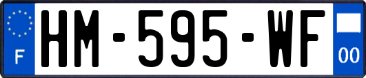 HM-595-WF