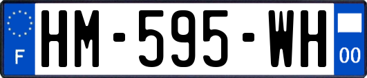 HM-595-WH