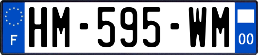 HM-595-WM