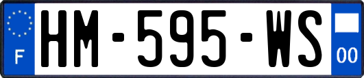HM-595-WS