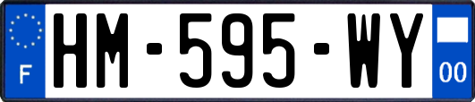 HM-595-WY