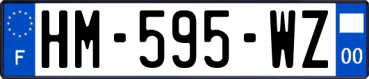HM-595-WZ