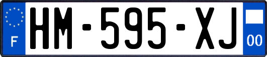 HM-595-XJ