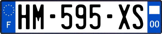 HM-595-XS