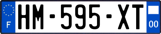 HM-595-XT