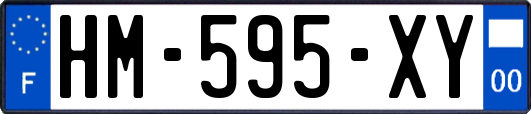 HM-595-XY