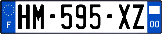 HM-595-XZ