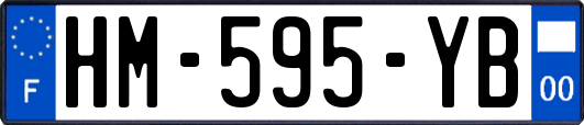 HM-595-YB