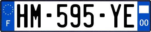 HM-595-YE