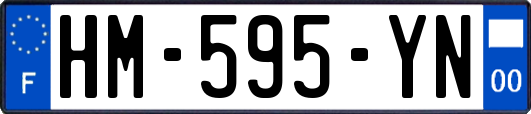 HM-595-YN