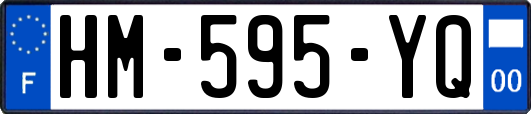 HM-595-YQ