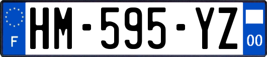 HM-595-YZ