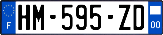 HM-595-ZD