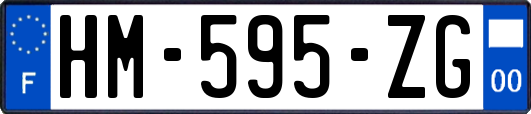 HM-595-ZG