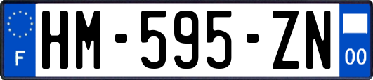 HM-595-ZN