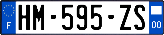 HM-595-ZS