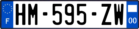 HM-595-ZW