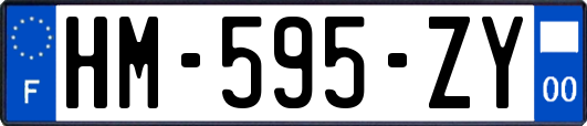 HM-595-ZY