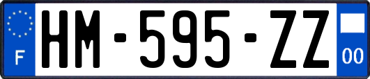 HM-595-ZZ