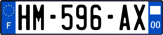 HM-596-AX
