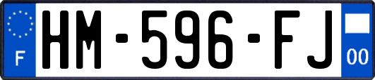 HM-596-FJ