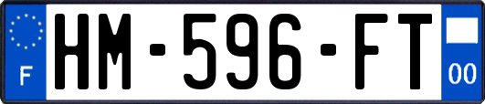 HM-596-FT