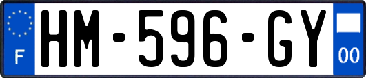 HM-596-GY