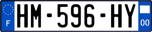 HM-596-HY