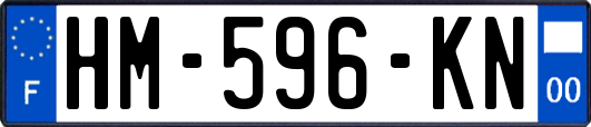 HM-596-KN