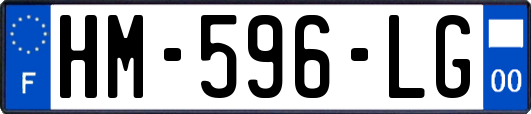 HM-596-LG