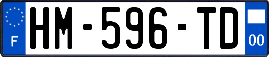 HM-596-TD