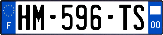 HM-596-TS