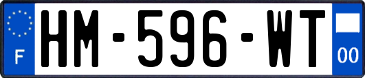 HM-596-WT