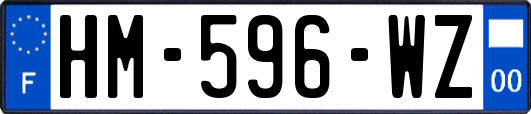 HM-596-WZ