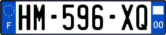 HM-596-XQ