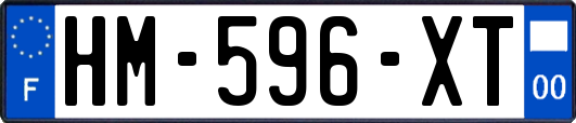 HM-596-XT