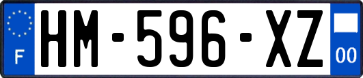 HM-596-XZ