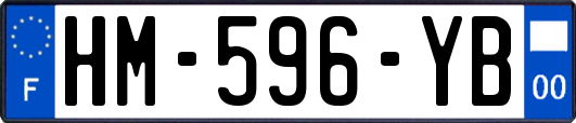 HM-596-YB