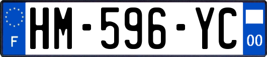 HM-596-YC