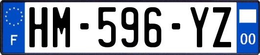 HM-596-YZ